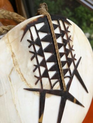 Scarce Old Tema Santa Cruz Solomon Islands Oceanic Shell Kapkap Ornament Jewelry 4