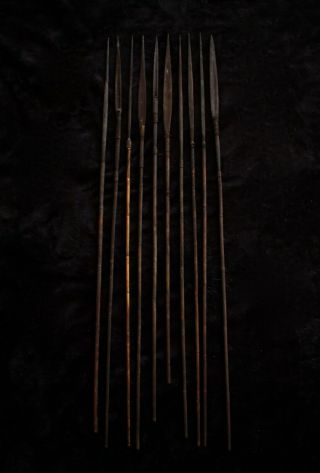 Group of Ten Old Fighting Arrows - Papua Guinea 1970 ' s 2