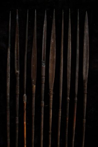 Group of Ten Old Fighting Arrows - Papua Guinea 1970 ' s 3