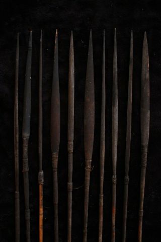 Group of Ten Old Fighting Arrows - Papua Guinea 1970 ' s 4