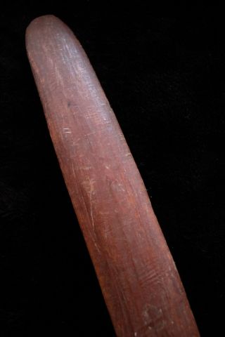 Large Aboriginal Boomerang - Northern Territory 1950 