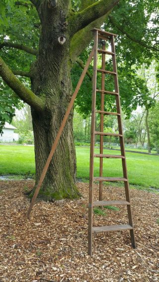 Antique Vintage Orchard Ladder 10 