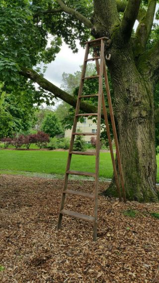 antique vintage orchard ladder 10 ' 2