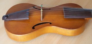 old viola Gamba 4/4 geige violin cello fiddle Bratsche label WALTER OVERMANN 11