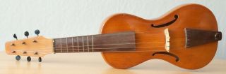 old viola Gamba 4/4 geige violin cello fiddle Bratsche label WALTER OVERMANN 2