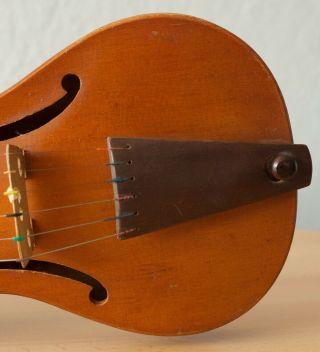 old viola Gamba 4/4 geige violin cello fiddle Bratsche label WALTER OVERMANN 5