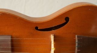 old viola Gamba 4/4 geige violin cello fiddle Bratsche label WALTER OVERMANN 6