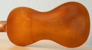 old viola Gamba 4/4 geige violin cello fiddle Bratsche label WALTER OVERMANN 7