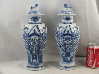 Pair 19th C Chinese Porcelain Blue And White Magpie Birds Vases & Covers