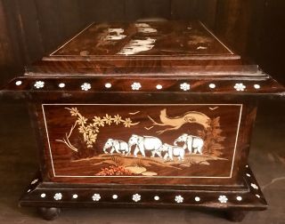 Antique 19th Century Mother Of Pearl Elephants Inlaid Anglo Indian Chest