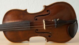 old violin 4/4 geige viola cello fiddle label STEFANO SCARAMPELLA 3