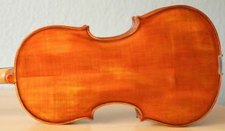 Old Viola Bratsche Violin Cello Fiddle Label Pollastri Gaetano