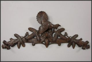 Black Forest Carved Wood Grouse Wall Hook Rack 1900
