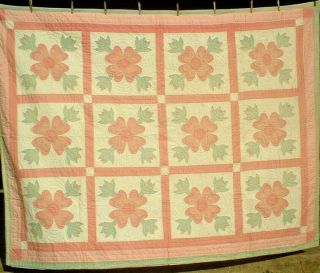 Antique Vintage Early 1900s Rare Pink Dogwood Floral Applique Quilt Wow