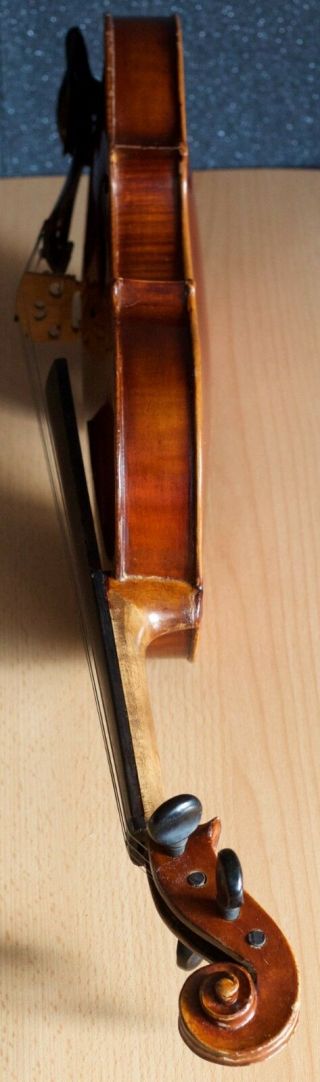 old violin 4/4 geige viola cello fiddle label Albertus Blanchi 11