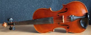 old violin 4/4 geige viola cello fiddle label Albertus Blanchi 2
