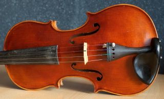 old violin 4/4 geige viola cello fiddle label Albertus Blanchi 3