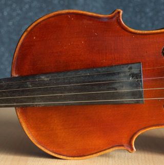 old violin 4/4 geige viola cello fiddle label Albertus Blanchi 4