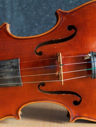 old violin 4/4 geige viola cello fiddle label Albertus Blanchi 5