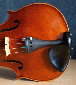 old violin 4/4 geige viola cello fiddle label Albertus Blanchi 6
