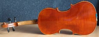 old violin 4/4 geige viola cello fiddle label Albertus Blanchi 7