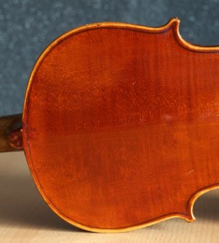 old violin 4/4 geige viola cello fiddle label Albertus Blanchi 8
