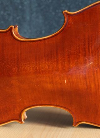 old violin 4/4 geige viola cello fiddle label Albertus Blanchi 9