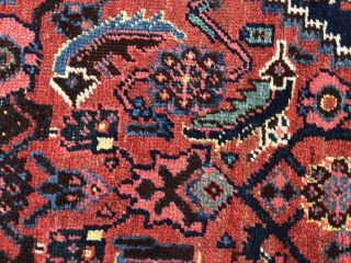 Auth: Antique Bijar Kurdish Runner Rare 4x18 All Wool Organic Beauty Nr