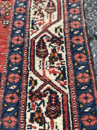Auth: Antique Bijar Kurdish Runner Rare 4x18 All Wool Organic Beauty NR 5