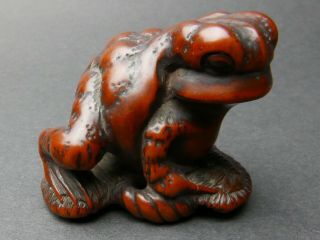 Fine Japanese Edo / Meiji Period Netsuke Wooden Toad Antique Carving Figurine