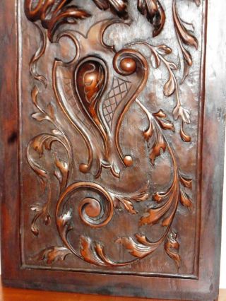 Decorative Antique Hand Carved French Wooden Dragon Griffin Panel High Relief 3