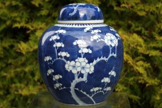 Fine Large Antique Chinese Blue/white Hand - Painted Prunus Ginger Jar - With Mark