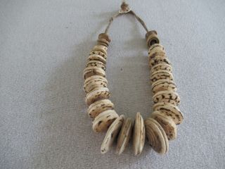 Tribal Currency Necklace Boiken Papua Guinea Conusshell