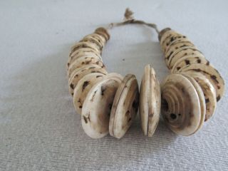 tribal currency necklace Boiken Papua Guinea Conusshell 3