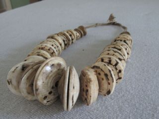 tribal currency necklace Boiken Papua Guinea Conusshell 4