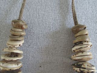 tribal currency necklace Boiken Papua Guinea Conusshell 6