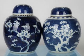 Two Antique Chinese Blue/white Hand - Painted Prunus Ginger Jars - With Mark