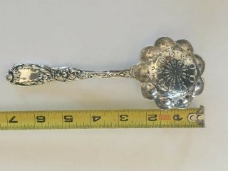 Chrysanthemum By Tiffany & Co.  Sterling Silver Scalloped Spoon