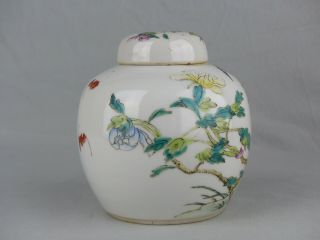 CHINESE PORCELAIN FAMILLE ROSE JAR AND COVER CIRCA 1900 BIRDS FLOWERS BATS 4