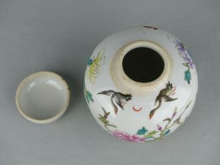 CHINESE PORCELAIN FAMILLE ROSE JAR AND COVER CIRCA 1900 BIRDS FLOWERS BATS 6