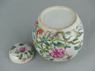 CHINESE PORCELAIN FAMILLE ROSE JAR AND COVER CIRCA 1900 BIRDS FLOWERS BATS 7