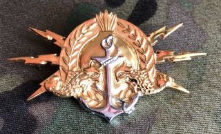 Saudi Arabia Navy Seal Udt Combat Swimmer Submarine Qualification Badge