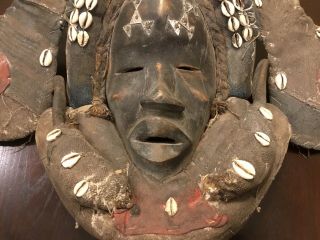 Tribally Dan African Ceremonial Mask Dark Patina Hardwood,  Fiber,  Shells 9