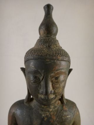 Antique Patinaed Bronze Burmese Shan Buddha,  17/18th c.  11 ¼” tall.  5lb.  1oz. 7