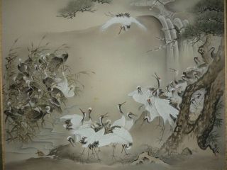 Japanese Painting Hanging Scroll Japan Landscape Many Crane Vintage Art 918h