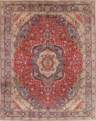 Red Vintage Persian Area Rug Hand - Knotted Medallion Oriental Wool Carpet 10x13