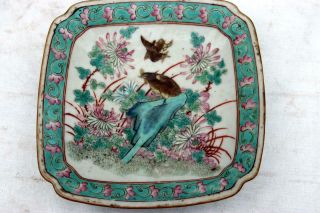 Antique Chinese Qianlong Porcelain Plate with Birds 2