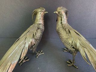 COLLECTIBLE PAIR SPANISH STERLING SILVER 925 KING PHEASANTS BIRDS.  770 gr 5