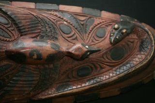 Large Antique Hand Carved Pacific Islander ' s Wooden Devil Masque 7