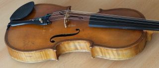 old violin 4/4 geige viola cello fiddle label JOSEPH GAGLIANO 11